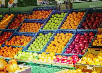 ყველაზე მეტად გაძვირებული და გაიაფებული პროდუქტი თებერვალში – საქსტატი