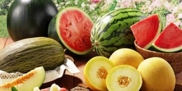 რა პროდუქცია შემოდიოდა ირანიდან? რა გავლენა ექნება იმპორტზე ომს?