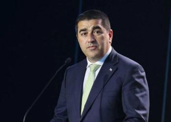 ,, სია მოგვცენ, ერთი, ვინ გავათავისუფლოთ? სიას რატომ არ გვაძლევენ?” – პაპუაშვილი ევროკომისარს