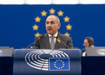 ფაშინიანის თქმით, საქართველოს მხარეს არ მოუთხოვია, რომ ევროპარლამენტში მათზე ესაუბრა