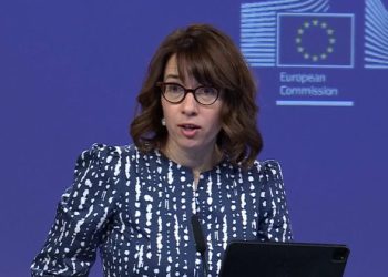 გაურკვევლობა, რისკი, ფართომასშტაბიან კონტროლი – ანიტა ჰიპერი “გრანტების კანონის” გამკაცრებაზე