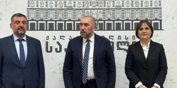 ავერსი-ფარმასა და თბილისის საკრებულოს ურთიერთთანამშრომლობის  მემორანდუმის დეტალები