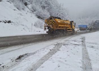 რიკოთის მიმართულებით გარკვეული სახის ტრანსპორტისთვის აკრძალვები დაწესდა