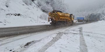 რიკოთის მიმართულებით გარკვეული სახის ტრანსპორტისთვის აკრძალვები დაწესდა