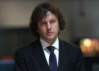 “NDI-ის ოფისში, ვიღაცის მაგიდაზე, გამოკრული იყო რომელიღაც წლის  დიაგრამა” – კობახიძე