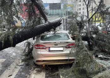 “მთელი ღამე ვმუშაობდი, რომ სახლში რაღაც შემეტანა” – 27–28 თებერვლის დაზარალებული
