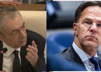 რა “ტყუილში გამოიჭირა” შარმანაშვილმა “ნატო”?