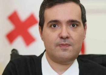 “ფენტეზი პოლიტიკურ ლაივ ეთერში” – სიმონი პეტრიდისი