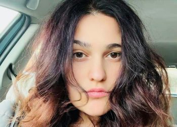 “ალიანსის” განცხადება არასწორი იყო” – მამუკაშვილი