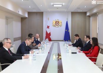 ვაიმარის ქვეყნების დელეგაცია “ოცნების” წარმომადგენლებს შეხვდა