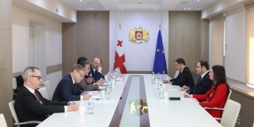 ვაიმარის ქვეყნების დელეგაცია “ოცნების” წარმომადგენლებს შეხვდა