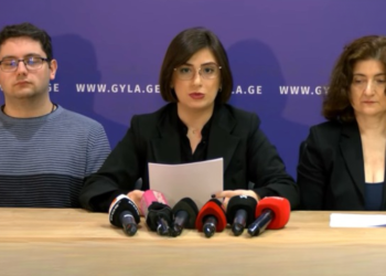 სტრასბურგის სასამართლომ ე.წ. „აგენტების“ კანონზე საქმის განხილვა დაიწყო – საია დეტალებს განმარტავს