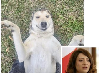 ,, რამდენიმე წუთის გაჩენილი იყო, მე და მამაჩემმა სახლთან ახლოს ბალახებში რომ ვიპოვეთ” – ანა ბუჩუკური