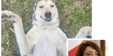 ,, რამდენიმე წუთის გაჩენილი იყო, მე და მამაჩემმა სახლთან ახლოს ბალახებში რომ ვიპოვეთ” – ანა ბუჩუკური