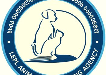 ,, თითქოს სააგენტომ შეზღუდა მიკედლების პროცედურები, სიმართლეს არ შეესაბამება” – ცხოველთა მონიტორინგის სააგენტო