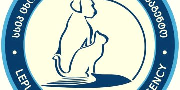 ,, თითქოს სააგენტომ შეზღუდა მიკედლების პროცედურები, სიმართლეს არ შეესაბამება” – ცხოველთა მონიტორინგის სააგენტო