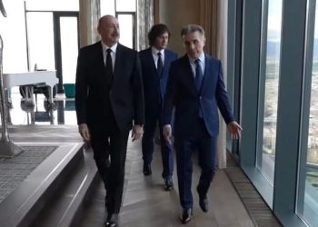 ,,საქართველოში არსებული მდგომარეობა ერთ კადრში“ – მერაბ მეტრეველი