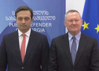 ევროპის საბჭოს ადამიანის უფლებათა კომისარი საქართველოს სახალხო დამცველს შეხვდა