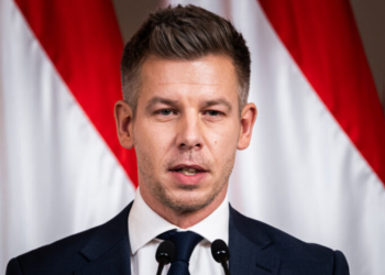 ,, მე როგორც მივხვდი, მადიერი ეს არის ცოტა უფრო სიმპატიური ღარიბაშვილი” – მერაბ მეტრეველ