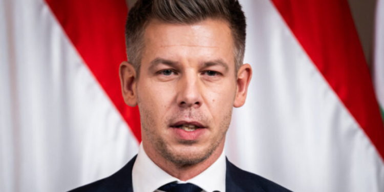 ,, მე როგორც მივხვდი, მადიერი ეს არის ცოტა უფრო სიმპატიური ღარიბაშვილი” – მერაბ მეტრეველ