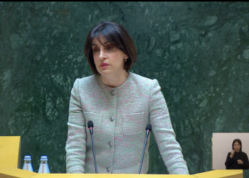 „ტყუილია, თითქოს „ქართული ოცნების” ცალმხრივი გადაწყვეტილებით ევროინტეგრაციის პროცესი 2028 წლამდე შეჩერდა“ – მაკა ბოჭორიშვილი