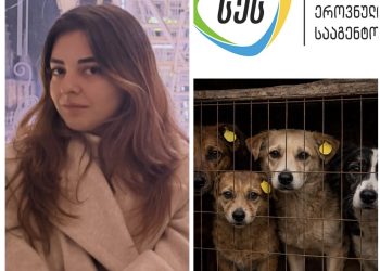 ,, ეს პირდაპირ მიუთითებს იმაზე რომ გინდათ ცოფის გავრცელება მთელ ქვეყანაში” – ტასო ლოსაბერიძე სეს-ს