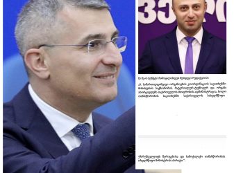 ,, გენერალ-კოორდინატორს ისეთ სამინისტროს უკეთებენ, რომელსაც საკუთარი აპარატიც კი არ ექნება…” – ბერდია სიჭინავა