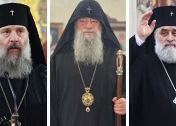 მოსაყდრე შიო, მიტროპოლიტები იობი და გრიგოლი  –  პატრიარქობის სამი კანდიდატი