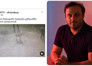 “ქოცგვერდებმა ამჯერად ცუგების გაშავება დაიწყეს… დიახ, დიახ, კონკრეტულად, აი, ამ ცუგების” – ვარდიაშვილი