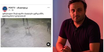 “ქოცგვერდებმა ამჯერად ცუგების გაშავება დაიწყეს… დიახ, დიახ, კონკრეტულად, აი, ამ ცუგების” – ვარდიაშვილი