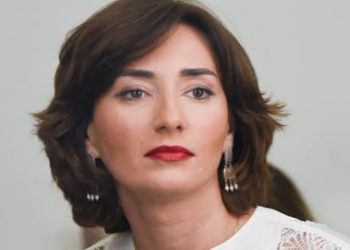 ეკა გიგაურის სიტყვა ნიდერლანდების პარლამენტში