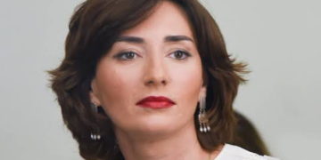 ეკა გიგაურის სიტყვა ნიდერლანდების პარლამენტში