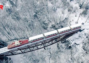 კობახიძე “კუკუშკის” აღდგენას აანონსებს