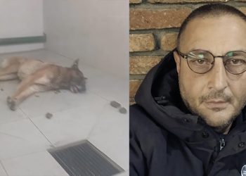 (ვიდეო) – “ეს არის კალაძის ძაღლების სასაკლაო” – ლაშა ჩხარტიშვილი