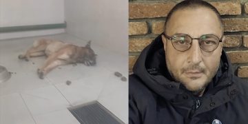 (ვიდეო) – “ეს არის კალაძის ძაღლების სასაკლაო” – ლაშა ჩხარტიშვილი