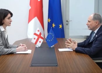 რას ამბობს მაკა ბოჭორიშვილი ევროკავშირის ელჩთან შეხვედრის შემდეგ?