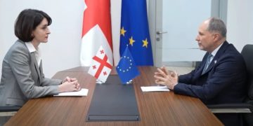 რას ამბობს მაკა ბოჭორიშვილი ევროკავშირის ელჩთან შეხვედრის შემდეგ?
