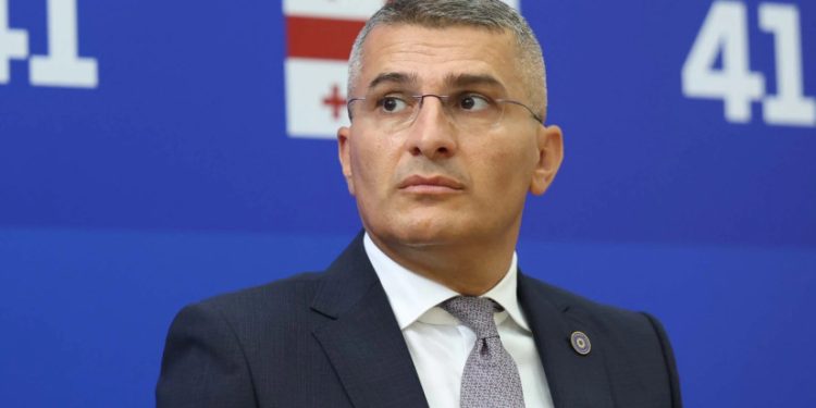 თავმოყვარე ბაგა-ბაღში დირექტორს არ შეცვლიან 1 წელიწადში – ხაბეიშვილი მდინარაძე ზე