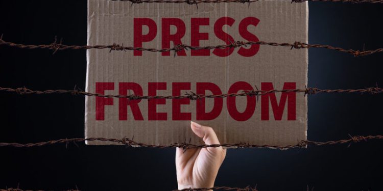 Woman holding cardboard paper with PRESS FREEDOM text and rusty sharp bare wire on dark background, conceptual image.