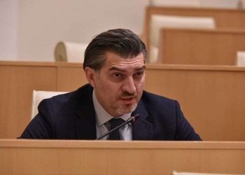 “სწორება უნდა გავაკეთოთ სლოვაკეთის მაგვარზე” – ყაველაშვილი