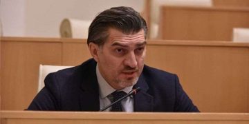 “სწორება უნდა გავაკეთოთ სლოვაკეთის მაგვარზე” – ყაველაშვილი