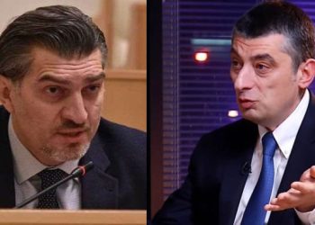 გახარიას გუნდი ყაველაშვილს კონსტიტუციის დარღვევაში ადანაშაულებს