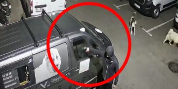 თავდასხმა თამაზ ელიზბარაშვილის ავტომობილზე (ვიდეო)