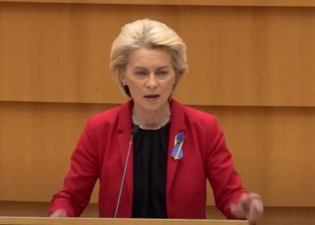 ლიდერების დონეზე წამოვაყენებთ უნგრეთისა და რუსეთის შესაძლო კოორდინაციის საკითხს – ევროკომისიის პრესსპიკერი