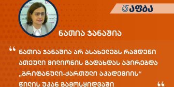 ნათია ჯანაშია არ ასახელებს რამდენი ათეული მილიონის გადახდას აპირებდა „ბრიტანული-ქართული აკადემიის“ წილის უკან გამოსყიდვაში – აფბა