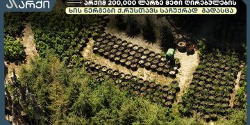 “არქიმ” 200,000 ლარზე მეტი ღირებულების მარადმწვანე ხის ნერგები ქალაქ რუსთავს საჩუქრად გადასცა
