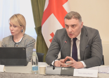“გადახდების დაგვიანება აფერხებს ბიზნესის ეფექტიან დაგეგმვას” – ბერეკაშვილი