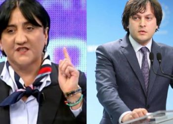 “მილიონებს წვეულებებზე ხარჯავთ და 100 ბავშვის სიცოცხლის გახანგრძლივება რომ ნომერ პირველი საზრუნავია, თქვენს მაძღარ გონებაში ეს აზრი ნუთუ ასე უიმედოდაა ჩამქრალი?!” – ინაშვილი