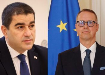 პაპუაშვილის “უხალისო” პასუხი გერმანიის ელჩს