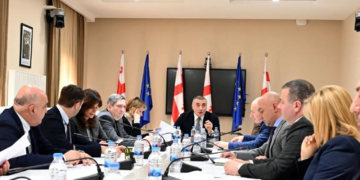 “მცირე და საშუალო ბიზნესის მხარდაჭერისთვის 3-4-წლიანი სტრატეგია გაიწეროს”– ფასების კომისია